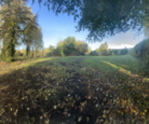 The Estate