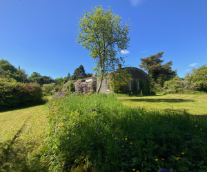 The Entire Estate