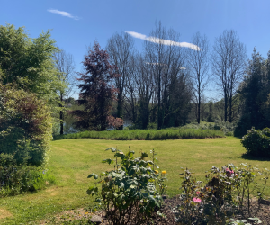 The Entire Estate