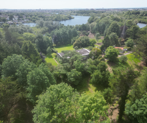 The Entire Estate